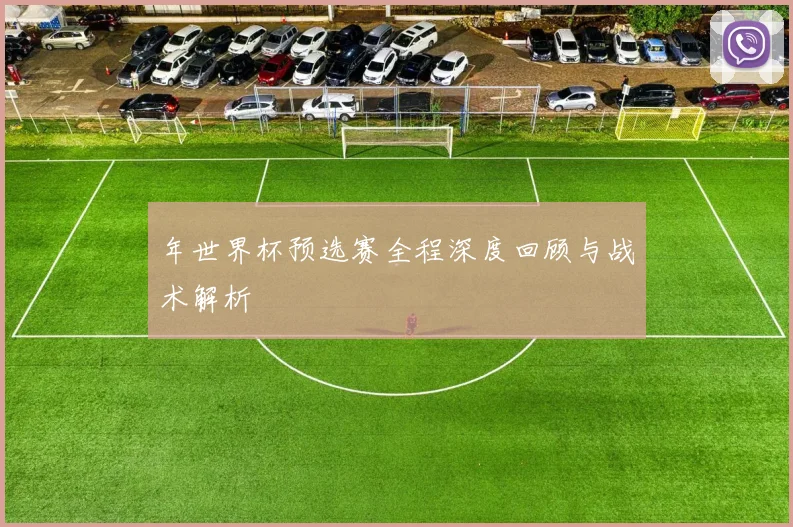 年世界杯预选赛全程深度回顾与战术解析