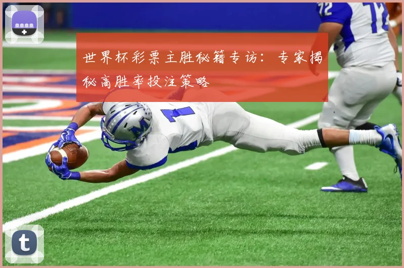 世界杯彩票主胜秘籍专访:专家揭秘高胜率投注策略